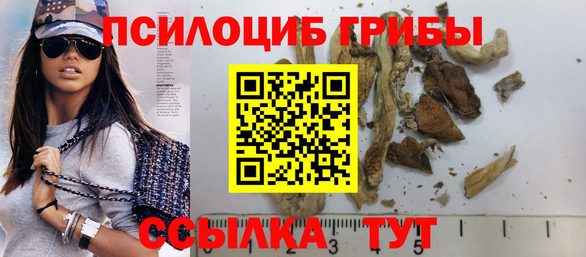 Дербент  Псилоцибиновые грибы GOLDEN TEACHER  Вход с VPN 